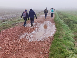  <a style='color: #fff;' href='/uploaded/photo/rando-zen-61e66bdd755d8.jpg'>(Télécharger)</a>