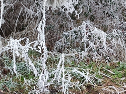  <a style='color: #fff;' href='/uploaded/photo/rando-zen-61e66be206fb7.jpg'>(Télécharger)</a>