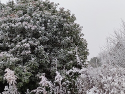  <a style='color: #fff;' href='/uploaded/photo/rando-zen-61e66be21f4ce.jpg'>(Télécharger)</a>