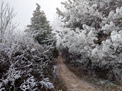  <a style='color: #fff;' href='/uploaded/photo/rando-zen-61e66be6949c9.jpg'>(Télécharger)</a>