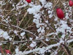  <a style='color: #fff;' href='/uploaded/photo/rando-zen-61e66be6f2fec.jpg'>(Télécharger)</a>