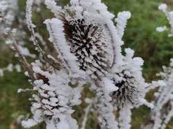  <a style='color: #fff;' href='/uploaded/photo/rando-zen-61e66be71d3eb.jpg'>(Télécharger)</a>