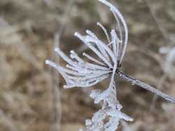  <a style='color: #fff;' href='/uploaded/photo/rando-zen-61e66be735327.jpg'>(Télécharger)</a>