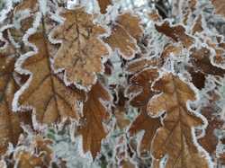  <a style='color: #fff;' href='/uploaded/photo/rando-zen-61e66be73e128.jpg'>(Télécharger)</a>