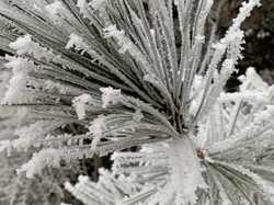  <a style='color: #fff;' href='/uploaded/photo/rando-zen-61e66be75716c.jpg'>(Télécharger)</a>