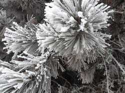  <a style='color: #fff;' href='/uploaded/photo/rando-zen-61e66be7af9cd.jpg'>(Télécharger)</a>