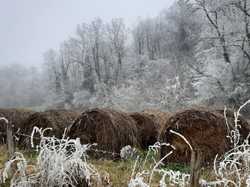  <a style='color: #fff;' href='/uploaded/photo/rando-zen-61e66be7b182f.jpg'>(Télécharger)</a>