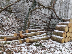  <a style='color: #fff;' href='/uploaded/photo/rando-zen-61e671a8efe78.jpg'>(Télécharger)</a>