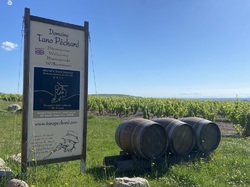  <a style='color: #fff;' href='/uploaded/photo/regnie-durette-666b0affeb0f5.jpg'>(Télécharger)</a>