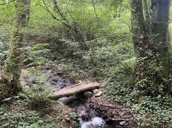  <a style='color: #fff;' href='/uploaded/photo/regnie-durette-666b0b01895c9.jpg'>(Télécharger)</a>