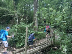  <a style='color: #fff;' href='/uploaded/photo/regnie-durette-666b0b018d45f.jpg'>(Télécharger)</a>