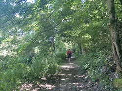  <a style='color: #fff;' href='/uploaded/photo/regnie-durette-666b0b019635c.jpg'>(Télécharger)</a>