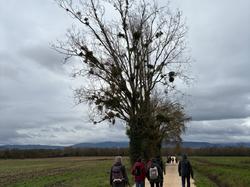  <a style='color: #fff;' href='/uploaded/photo/repas-et-randonny-e-du-26-11-2025-69271cc58c0a6.jpg'>(Télécharger)</a>