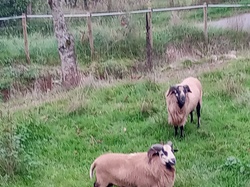  <a style='color: #fff;' href='/uploaded/photo/rivolet-6735096bcd46e.jpg'>(Télécharger)</a>