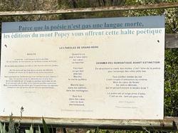  <a style='color: #fff;' href='/uploaded/photo/sain-bel-69cec71822f5a.jpg'>(Télécharger)</a>