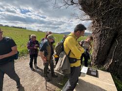  <a style='color: #fff;' href='/uploaded/photo/sain-bel-69cec7188b60b.jpg'>(Télécharger)</a>