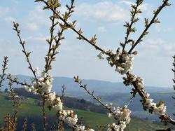  <a style='color: #fff;' href='/uploaded/photo/sain-bel-69cec71a53647.jpg'>(Télécharger)</a>