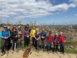  <a style='color: #fff;' href='/uploaded/photo/sain-bel-69cec71b9c1f3.jpg'>(Télécharger)</a>