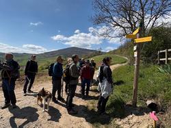  <a style='color: #fff;' href='/uploaded/photo/sain-bel-69cec71cd256a.jpg'>(Télécharger)</a>