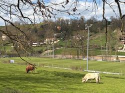  <a style='color: #fff;' href='/uploaded/photo/sain-bel-69cec71de0027.jpg'>(Télécharger)</a>