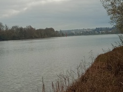  <a style='color: #fff;' href='/uploaded/photo/saint-bernard-673b3af1f15cd.jpg'>(Télécharger)</a>