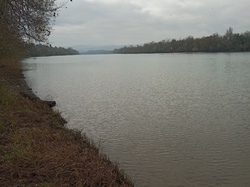  <a style='color: #fff;' href='/uploaded/photo/saint-bernard-673b3afcaf5f4.jpg'>(Télécharger)</a>