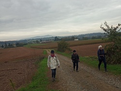  <a style='color: #fff;' href='/uploaded/photo/saint-bernard-673b3b0d22f08.jpg'>(Télécharger)</a>