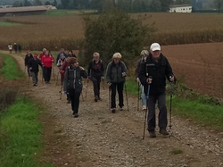  <a style='color: #fff;' href='/uploaded/photo/saint-bernard-673b3b19b989d.jpg'>(Télécharger)</a>