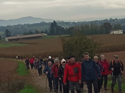  <a style='color: #fff;' href='/uploaded/photo/saint-bernard-673b3b2906f3a.jpg'>(Télécharger)</a>