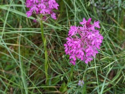  <a style='color: #fff;' href='/uploaded/photo/saint-martin-du-mont-665f2203f2707.jpg'>(Télécharger)</a>