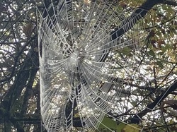  <a style='color: #fff;' href='/uploaded/photo/serrieres-de-briord-6723b338c7097.jpg'>(Télécharger)</a>