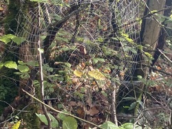  <a style='color: #fff;' href='/uploaded/photo/serrieres-de-briord-6723b33dc3120.jpg'>(Télécharger)</a>