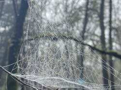  <a style='color: #fff;' href='/uploaded/photo/serrieres-de-briord-6723b33eed159.jpg'>(Télécharger)</a>