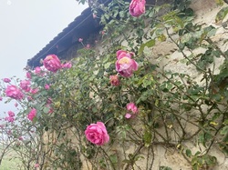  <a style='color: #fff;' href='/uploaded/photo/serrieres-de-briord-6723b34fa2ebd.jpg'>(Télécharger)</a>