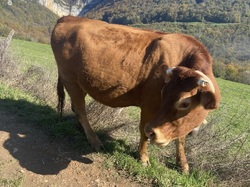  <a style='color: #fff;' href='/uploaded/photo/serrieres-de-briord-6723b3535e807.jpg'>(Télécharger)</a>