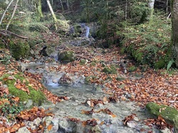  <a style='color: #fff;' href='/uploaded/photo/serrieres-de-briord-6723b3572b039.jpg'>(Télécharger)</a>