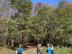  <a style='color: #fff;' href='/uploaded/photo/serrieres-de-briord-6723b359a8a4c.jpg'>(Télécharger)</a>