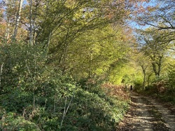  <a style='color: #fff;' href='/uploaded/photo/serrieres-de-briord-6723b359c7617.jpg'>(Télécharger)</a>