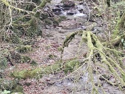  <a style='color: #fff;' href='/uploaded/photo/serrieres-de-briord-6723c4e741298.jpg'>(Télécharger)</a>