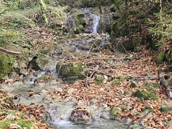  <a style='color: #fff;' href='/uploaded/photo/serrieres-de-briord-6723c4e902ac3.jpg'>(Télécharger)</a>