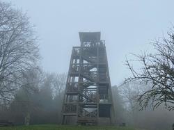  <a style='color: #fff;' href='/uploaded/photo/sortie-journy-e-du-jeudi-28-novembre-67489df961262.jpg'>(Télécharger)</a>