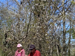  <a style='color: #fff;' href='/uploaded/photo/st-bel-69ce9cf3c111b.jpg'>(Télécharger)</a>