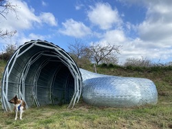  <a style='color: #fff;' href='/uploaded/photo/st-bel-69ce9cfab2bd3.jpg'>(Télécharger)</a>