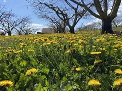  <a style='color: #fff;' href='/uploaded/photo/st-bel-69ce9cfbdb88d.jpg'>(Télécharger)</a>