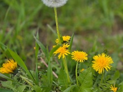  <a style='color: #fff;' href='/uploaded/photo/st-bel-69cea04d2278d.jpg'>(Télécharger)</a>