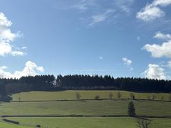  <a style='color: #fff;' href='/uploaded/photo/st-didier-sur-beau-jeu-69b30f33b850d.jpg'>(Télécharger)</a>