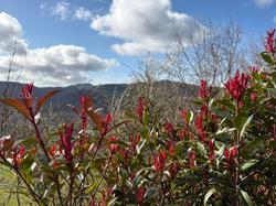  <a style='color: #fff;' href='/uploaded/photo/st-didier-sur-beau-jeu-69b30f341fb15.jpg'>(Télécharger)</a>