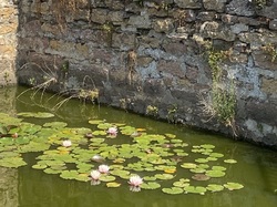  <a style='color: #fff;' href='/uploaded/photo/st-julien-648ca12a8347f.jpg'>(Télécharger)</a>