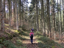  <a style='color: #fff;' href='/uploaded/photo/st-romain-de-popey-65fb099fd8d5a.jpg'>(Télécharger)</a>