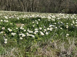  <a style='color: #fff;' href='/uploaded/photo/st-romain-de-popey-65fb09b10674a.jpg'>(Télécharger)</a>